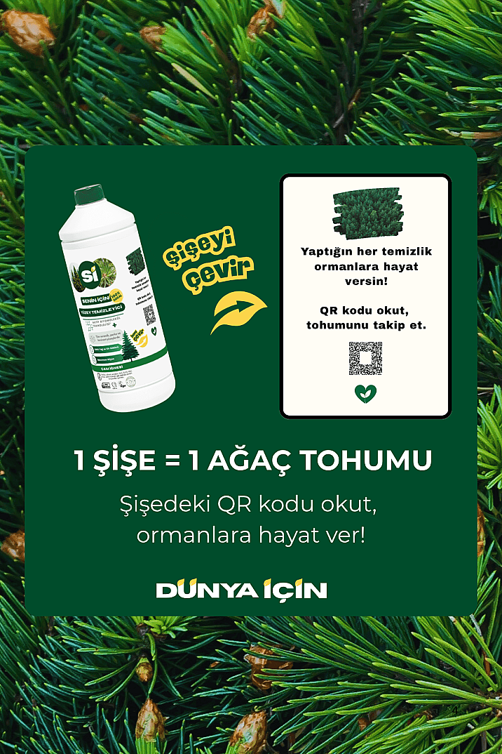 Doğal Yüzey Temizleyici  Çam İğnesi 900 ML - 2